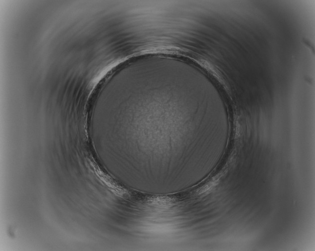 X0000099410830200806060930