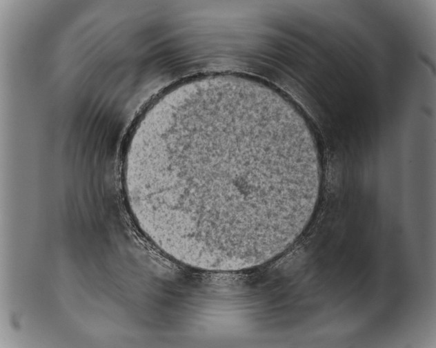 X0000099410832200806060930