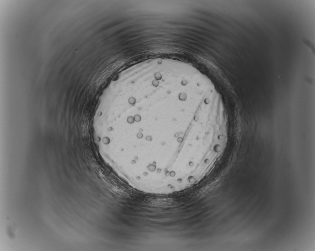 X0000099410833200806060930