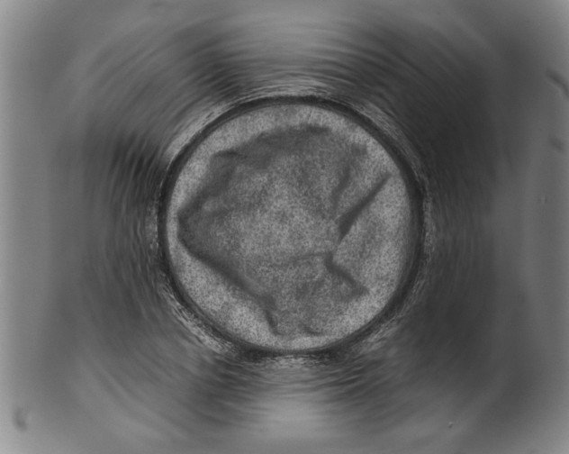 X0000099410834200806060930