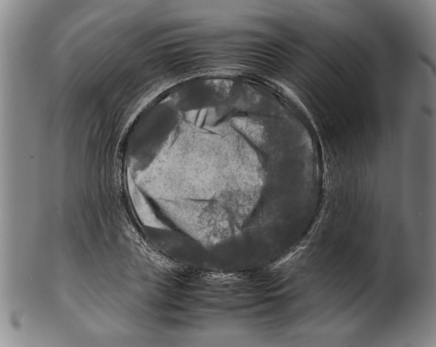 X0000099410835200806060930