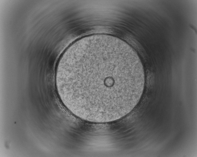 X0000099410836200806060930