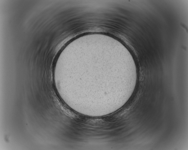 X0000099410837200806060930