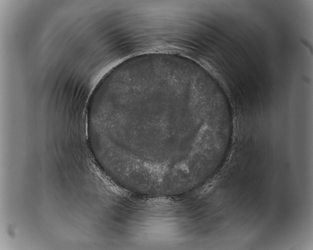 X0000099410838200806060930