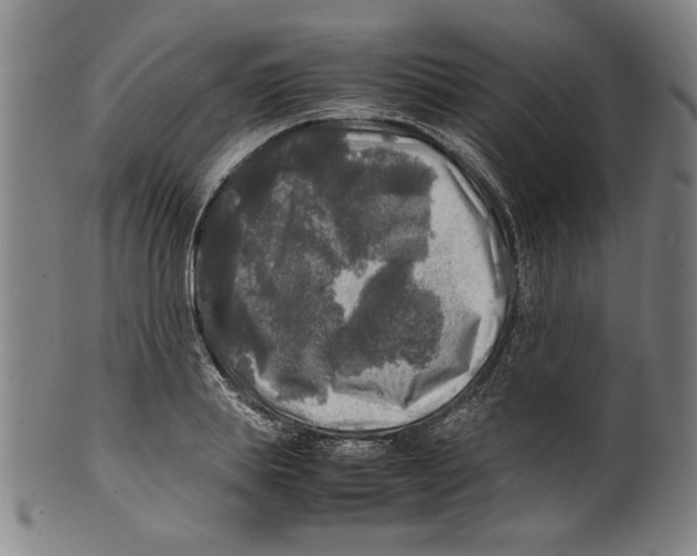 X0000099410839200806060930