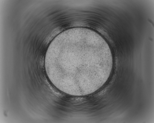 X0000099410841200806060930