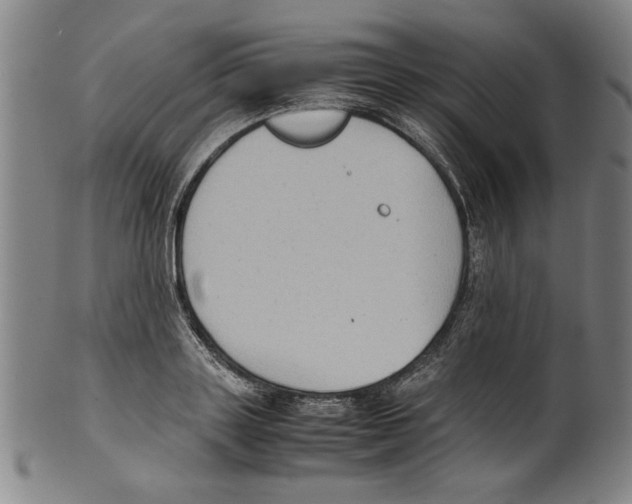 X0000099410843200806060930