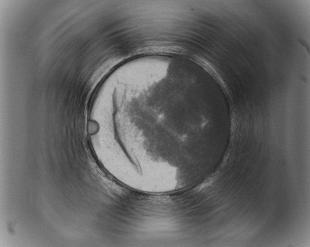 X0000099410844200806060930