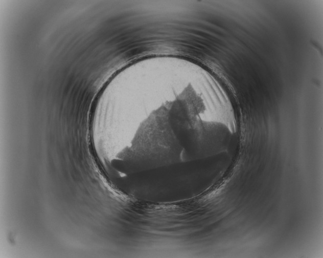 X0000099410845200806060930