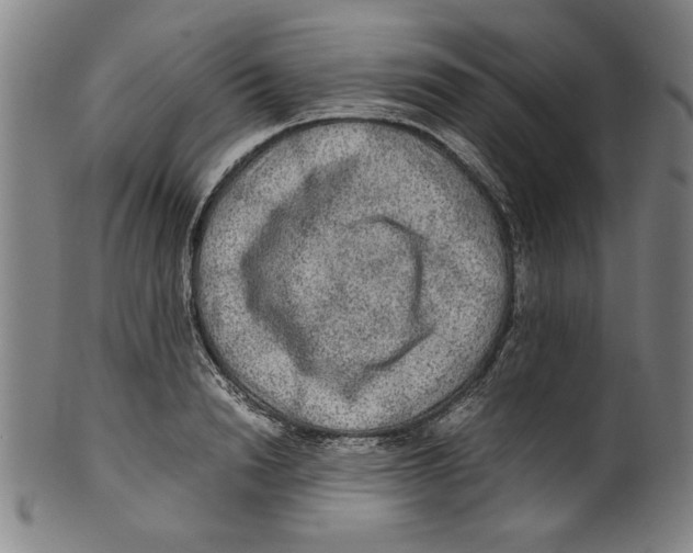 X0000099410846200806060930