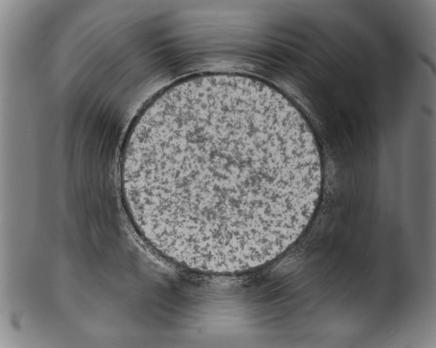 X0000099410848200806060930