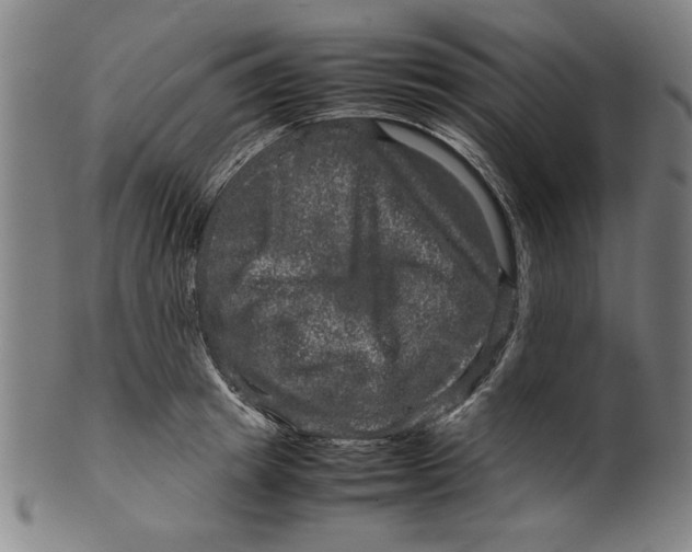 X0000099410849200806060930