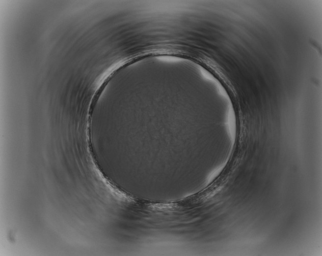 X0000099410853200806060930