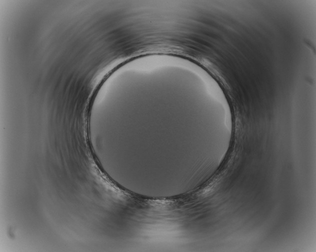 X0000099410854200806060930