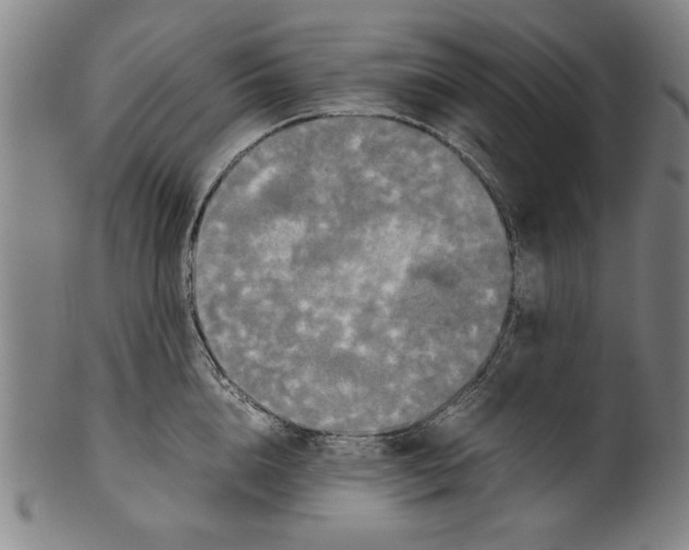 X0000099410856200806060930