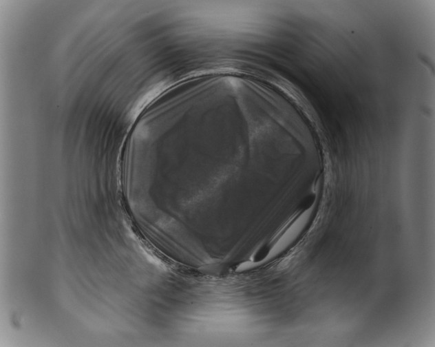 X0000099410858200806060930