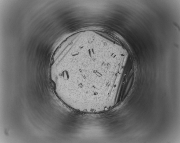 X0000099410860200806060930