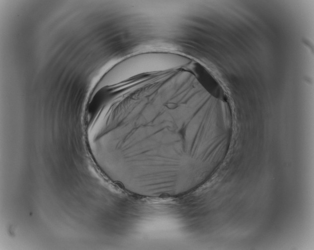 X0000099410864200806060930