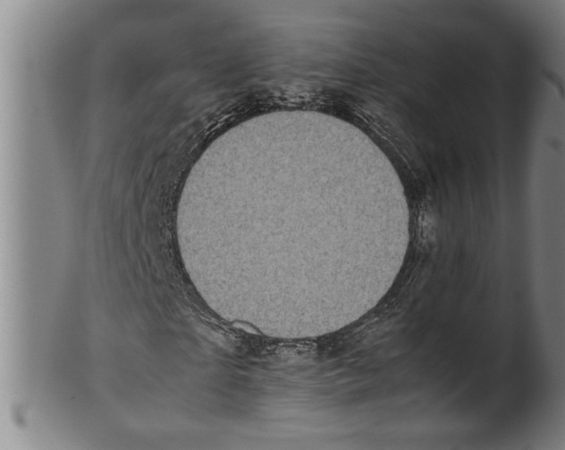 X0000099410865200806060929