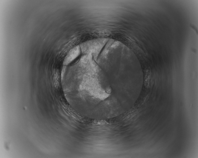 X0000099410866200806060929