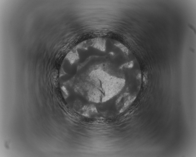 X0000099410867200806060929