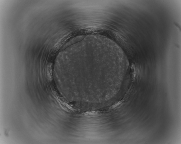 X0000099410868200806060929