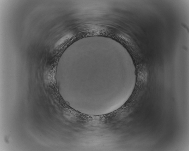 X0000099410869200806060929