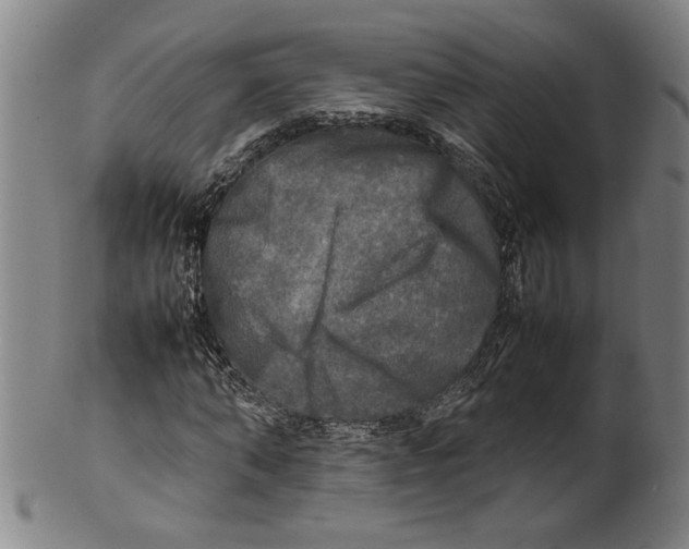 X0000099410870200806060929