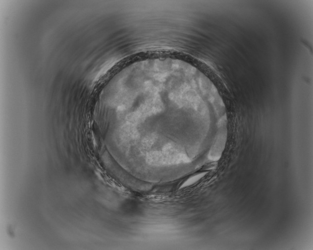 X0000099410871200806060929