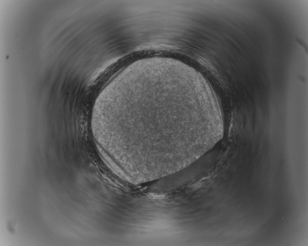 X0000099410872200806060929