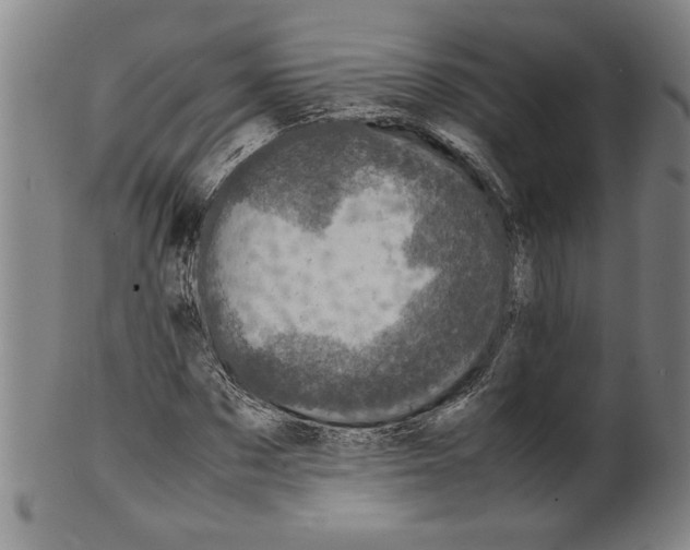 X0000099410873200806060929