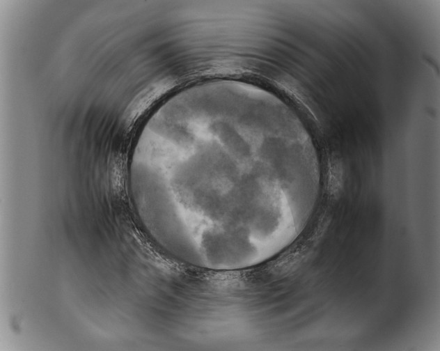 X0000099410874200806060929