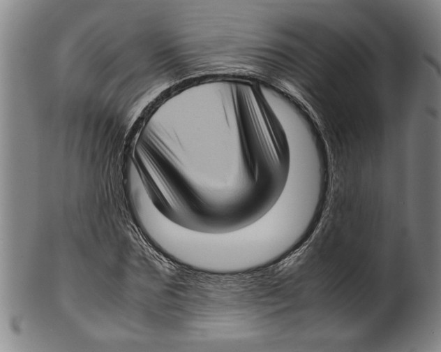 X0000099410875200806060929