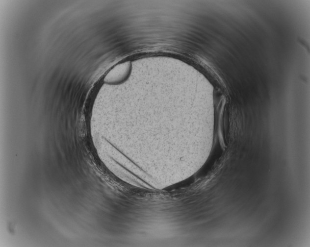 X0000099410876200806060929