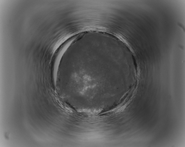 X0000099410877200806060929