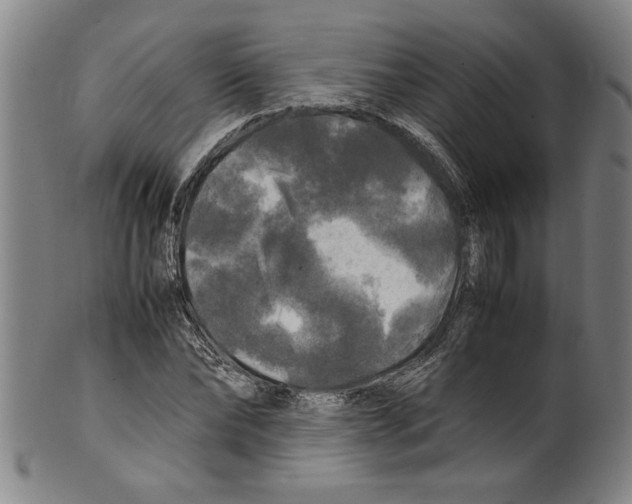 X0000099410878200806060929