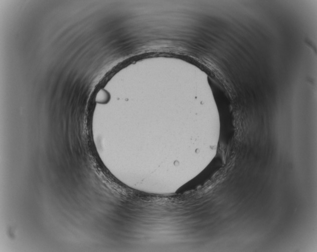 X0000099410880200806060929