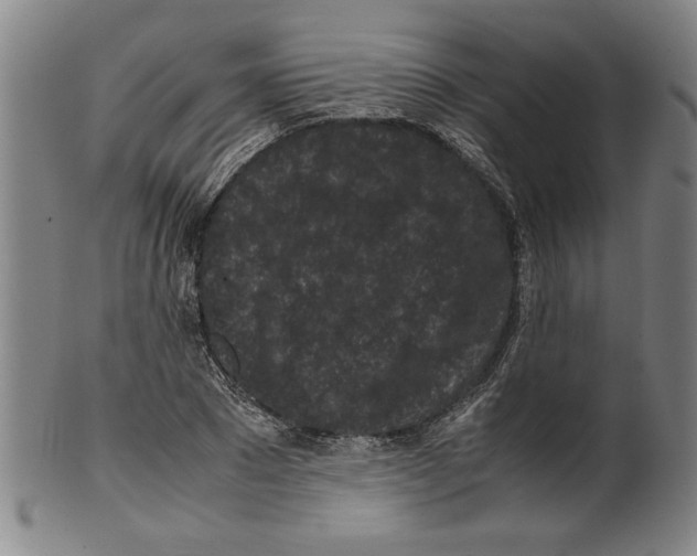 X0000099410881200806060929