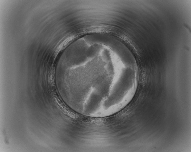 X0000099410882200806060929