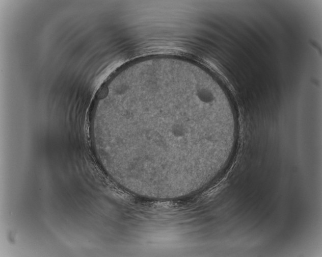 X0000099410883200806060929