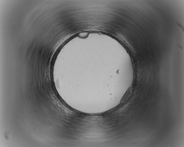 X0000099410884200806060929