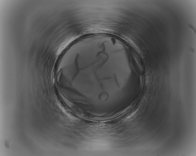 X0000099410885200806060929