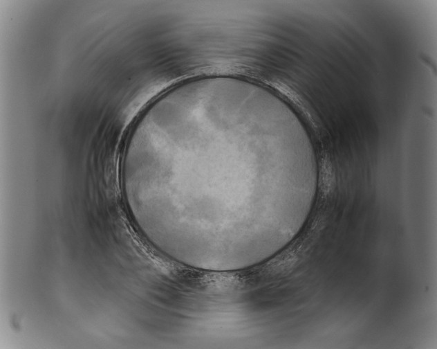 X0000099410886200806060929