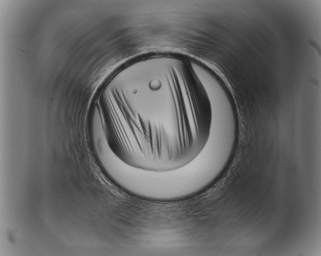 X0000099410887200806060929