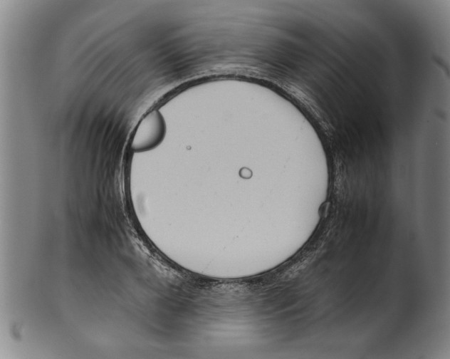 X0000099410888200806060929