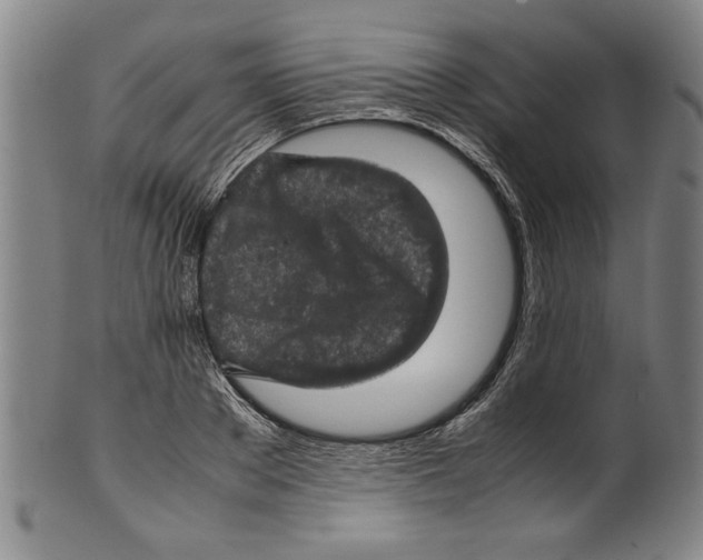 X0000099410889200806060929