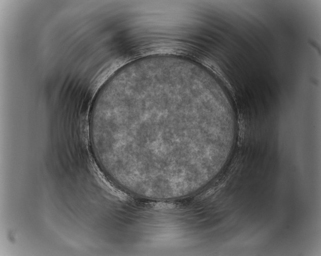 X0000099410890200806060929