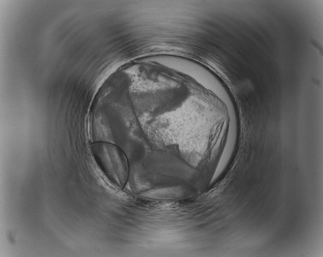 X0000099410891200806060929