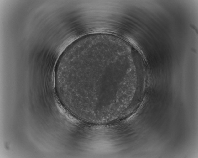 X0000099410892200806060929