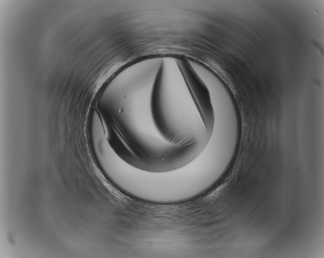 X0000099410893200806060929